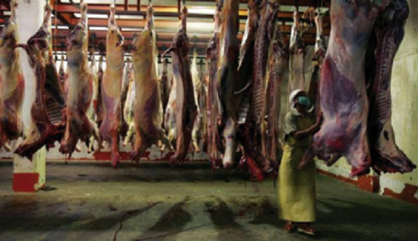 Los acusados por vender carne de caballo en mal estado reconocen los hechos y la pena será de hasta dos años y medio