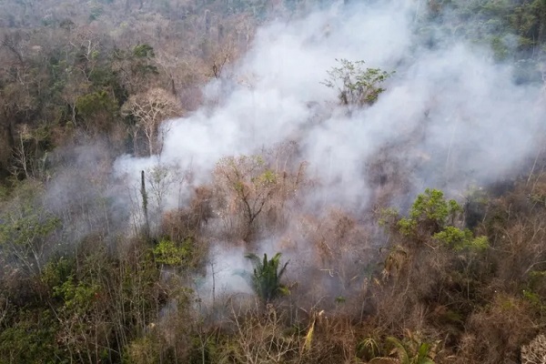 El sector agropecuario brasileño acumula pérdidas de 2.700 millones a causa de los incendios