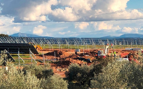 Exigen a la Junta de Andalucía no talar ni un solo olivo centenario más e impulsar una ley que proteja el suelo frente a megaplantas fotovoltaicas