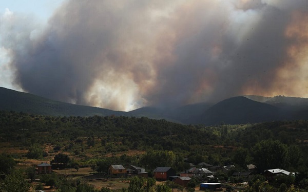 El campo teme pérdidas notables de producciones debido a las olas de calor y a los incendios que arrasan montes, pastos y cultivos