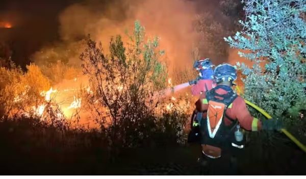 Medidas que debería incluir un pacto de Estado para hacer frente a los incendios forestales