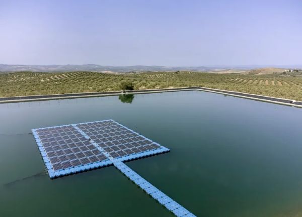 Planas considera que es un «disparate» usar tierra fértil para instalaciones fotovoltaicas