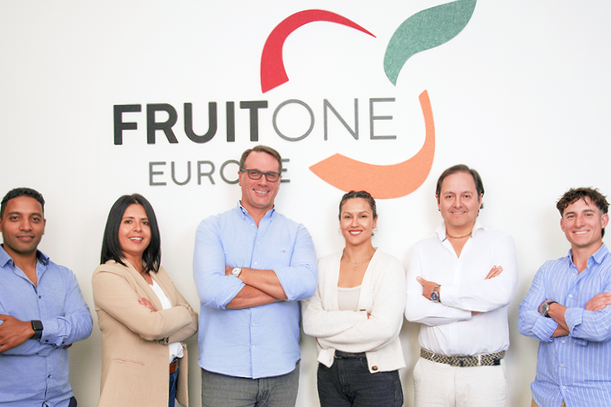 «Las grandes producciones y un tipo de cambio favorable impulsan las exportaciones de cítricos sudafricanos a Europa»