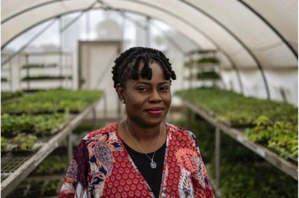 Un agrónomo nigeriano galardonado sueña con una «revolución» de la yuca