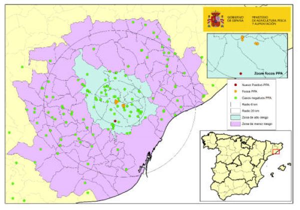 Nuevo foco de PPA en jabalís en Barcelona